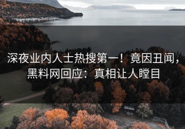 深夜业内人士热搜第一！竟因丑闻，黑料网回应：真相让人瞠目