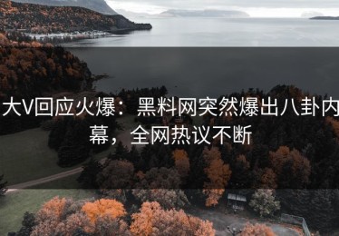大V回应火爆：黑料网突然爆出八卦内幕，全网热议不断