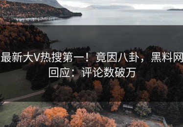 最新大V热搜第一！竟因八卦，黑料网回应：评论数破万
