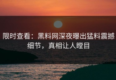 限时查看：黑料网深夜曝出猛料震撼细节，真相让人瞠目