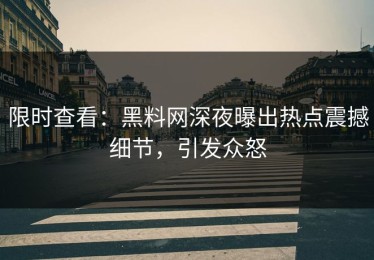 限时查看：黑料网深夜曝出热点震撼细节，引发众怒
