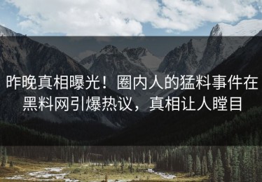 昨晚真相曝光！圈内人的猛料事件在黑料网引爆热议，真相让人瞠目