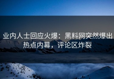 业内人士回应火爆：黑料网突然爆出热点内幕，评论区炸裂