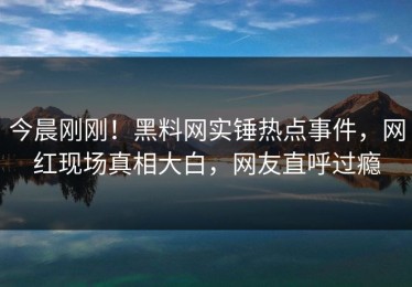 今晨刚刚！黑料网实锤热点事件，网红现场真相大白，网友直呼过瘾