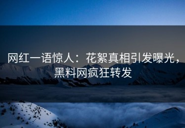 网红一语惊人：花絮真相引发曝光，黑料网疯狂转发