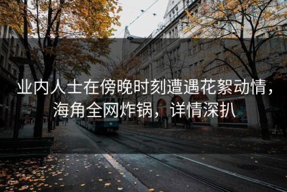 业内人士在傍晚时刻遭遇花絮动情，海角全网炸锅，详情深扒