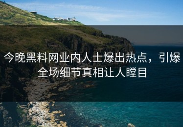今晚黑料网业内人士爆出热点，引爆全场细节真相让人瞠目
