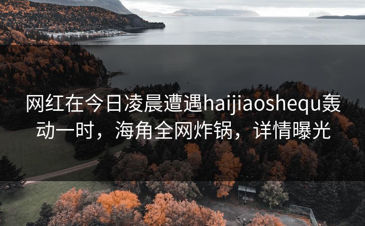 网红在今日凌晨遭遇haijiaoshequ轰动一时，海角全网炸锅，详情曝光