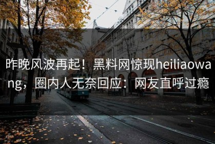 昨晚风波再起！黑料网惊现heiliaowang，圈内人无奈回应：网友直呼过瘾