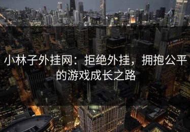 小林子外挂网：拒绝外挂，拥抱公平的游戏成长之路