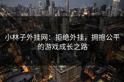 小林子外挂网：拒绝外挂，拥抱公平的游戏成长之路