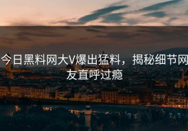 今日黑料网大V爆出猛料，揭秘细节网友直呼过瘾