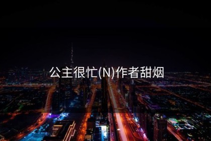 公主很忙(N)作者甜烟