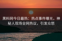 黑料网今日最热：热点事件曝光，神秘人现场全网热议，引发众怒