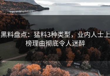 黑料盘点：猛料3种类型，业内人士上榜理由彻底令人迷醉