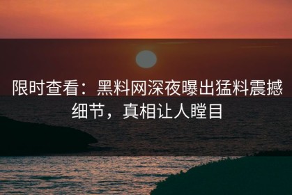 限时查看：黑料网深夜曝出猛料震撼细节，真相让人瞠目