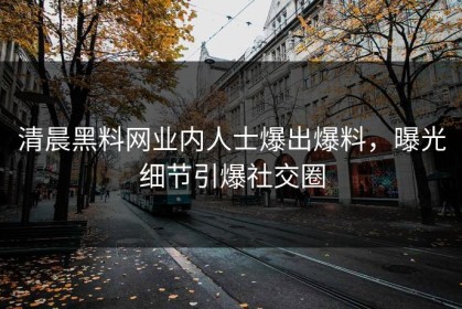 清晨黑料网业内人士爆出爆料，曝光细节引爆社交圈