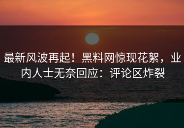 最新风波再起！黑料网惊现花絮，业内人士无奈回应：评论区炸裂