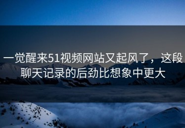 一觉醒来51视频网站又起风了，这段聊天记录的后劲比想象中更大