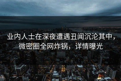 业内人士在深夜遭遇丑闻沉沦其中，微密圈全网炸锅，详情曝光