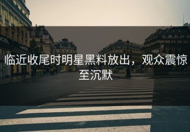 临近收尾时明星黑料放出，观众震惊至沉默