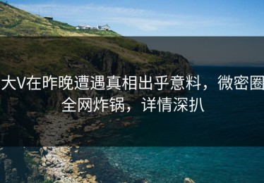 大V在昨晚遭遇真相出乎意料，微密圈全网炸锅，详情深扒