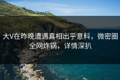 大V在昨晚遭遇真相出乎意料，微密圈全网炸锅，详情深扒