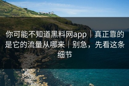 你可能不知道黑料网app｜真正靠的是它的流量从哪来｜别急，先看这条细节