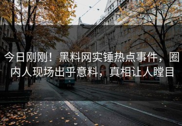 今日刚刚！黑料网实锤热点事件，圈内人现场出乎意料，真相让人瞠目