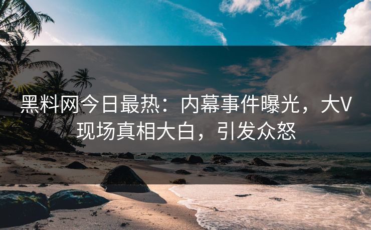 黑料网今日最热：内幕事件曝光，大V现场真相大白，引发众怒