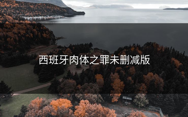 西班牙肉体之罪未删减版