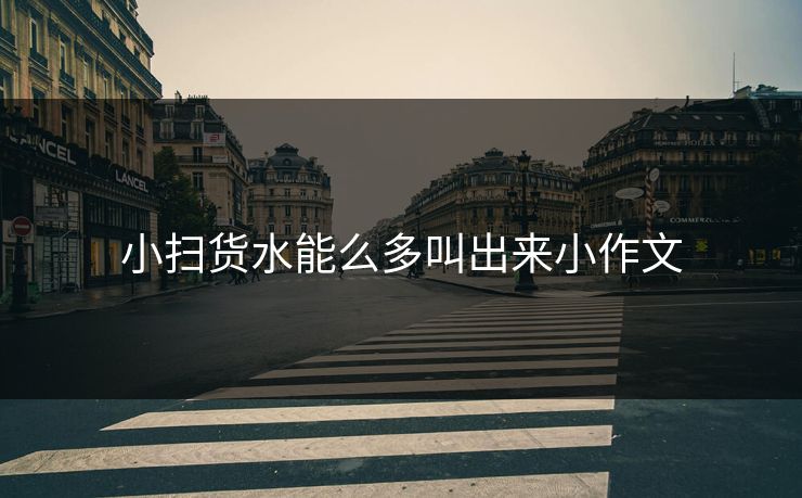 小扫货水能么多叫出来小作文